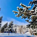 Domki Gorskie Camp Harenda Zakopane - Z Widokiem Na Tatry I Giewont 자코파네