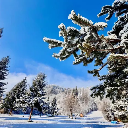 Górskie Campharenda Zakopane
