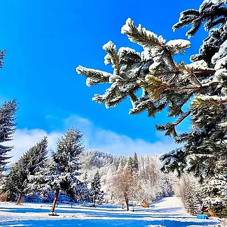 Górskie Campharenda