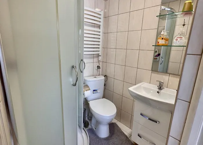 Gorskie Campharenda 木屋 扎科帕内